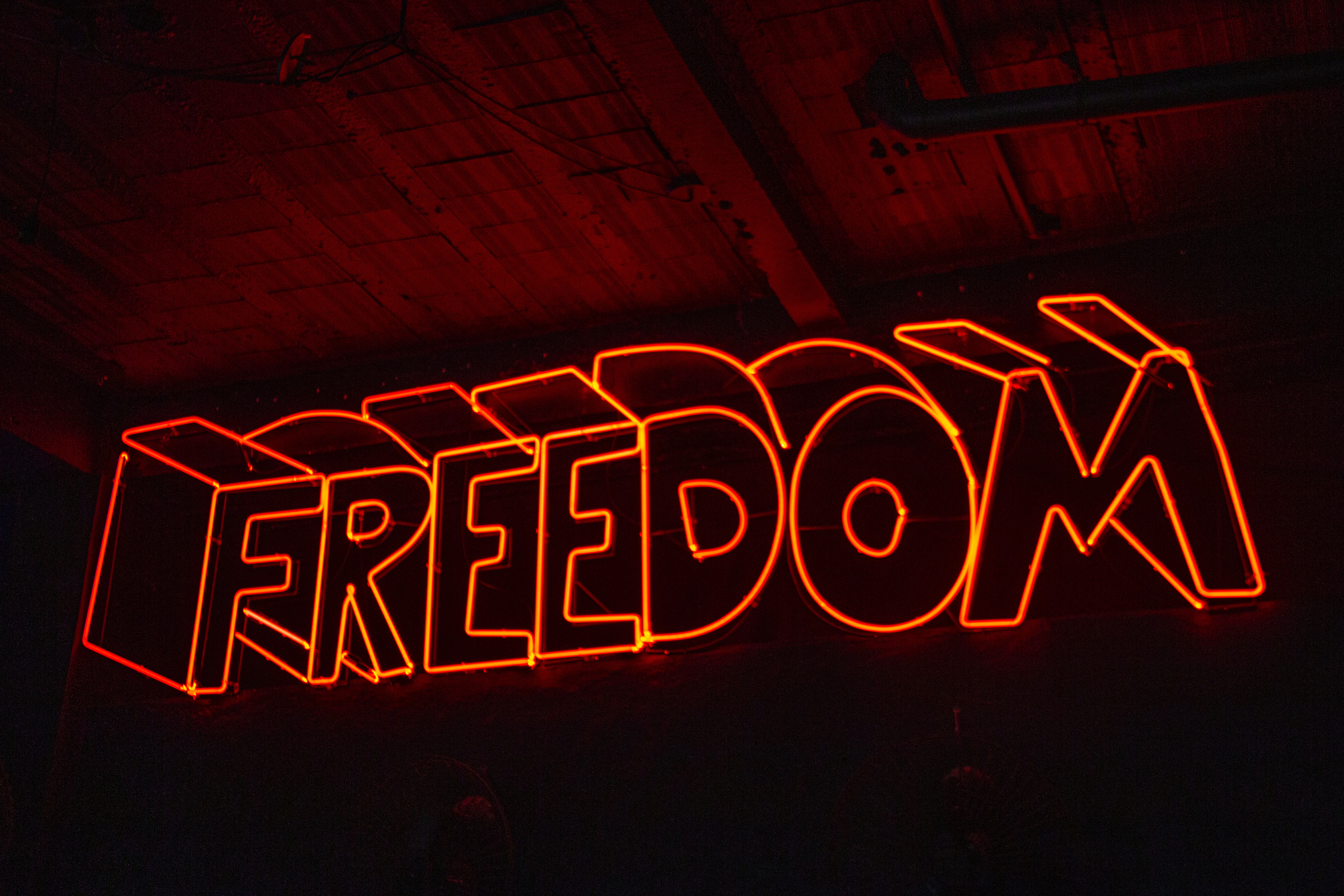 led pasy napis Freedom